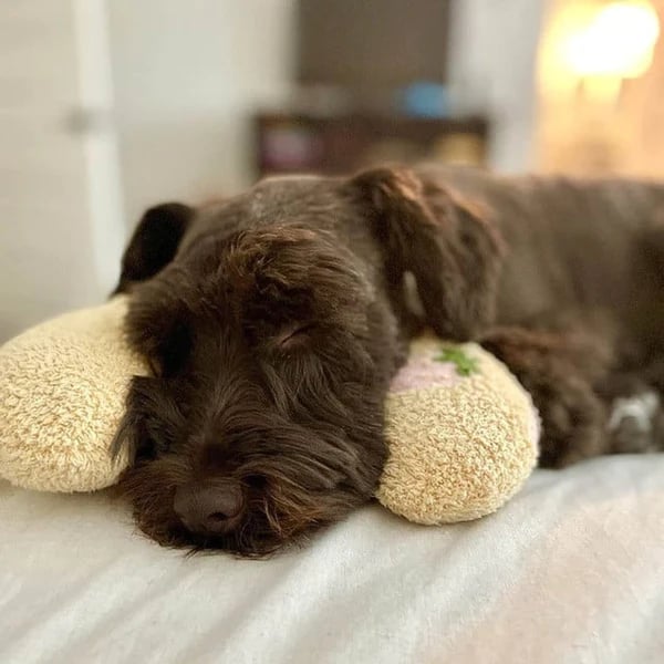 Calming Pet Pillow