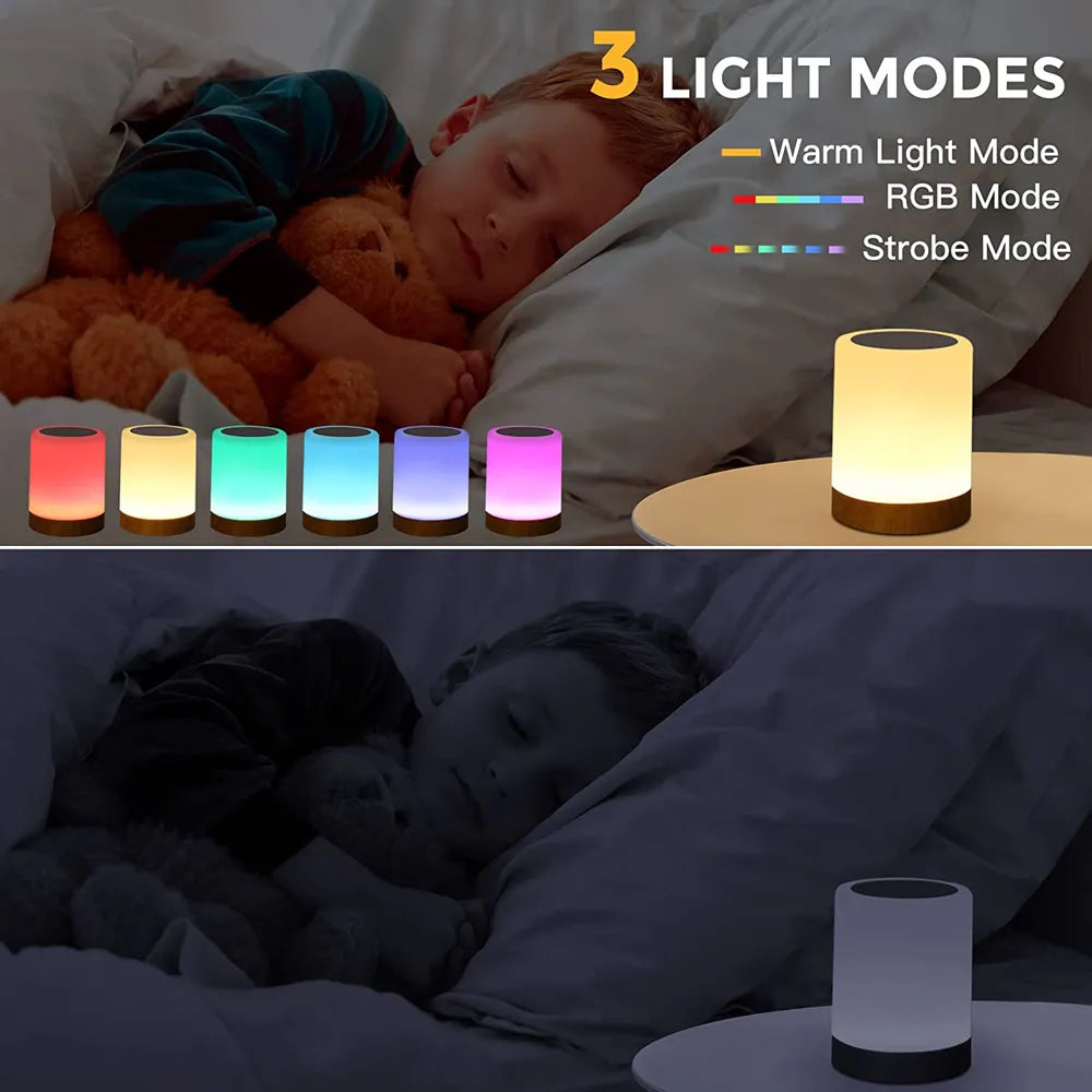 Friendship Touch Lamp LED with Touch Sensor Portable Desk Lamp RGB Light